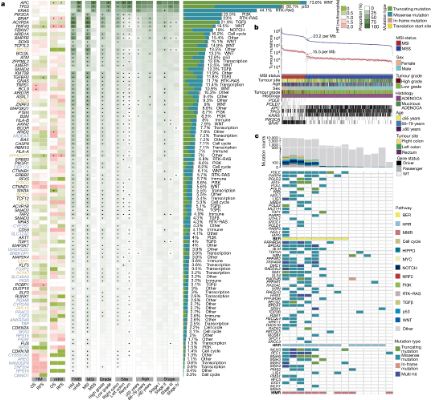 Prognostic Genome and Transcriptome Signatures in Colorectal Cancers